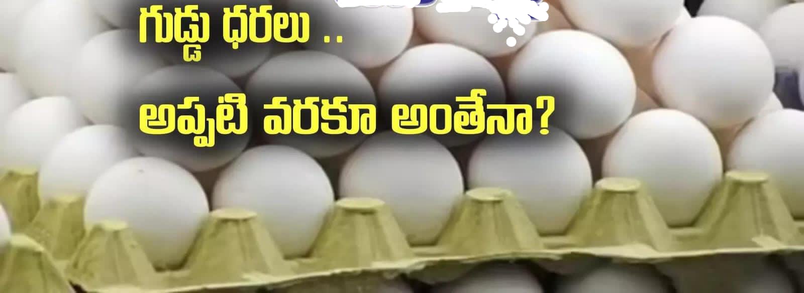 సగానికి పైగా రేట్లు తగ్గిన కోడి గుడ్లు...