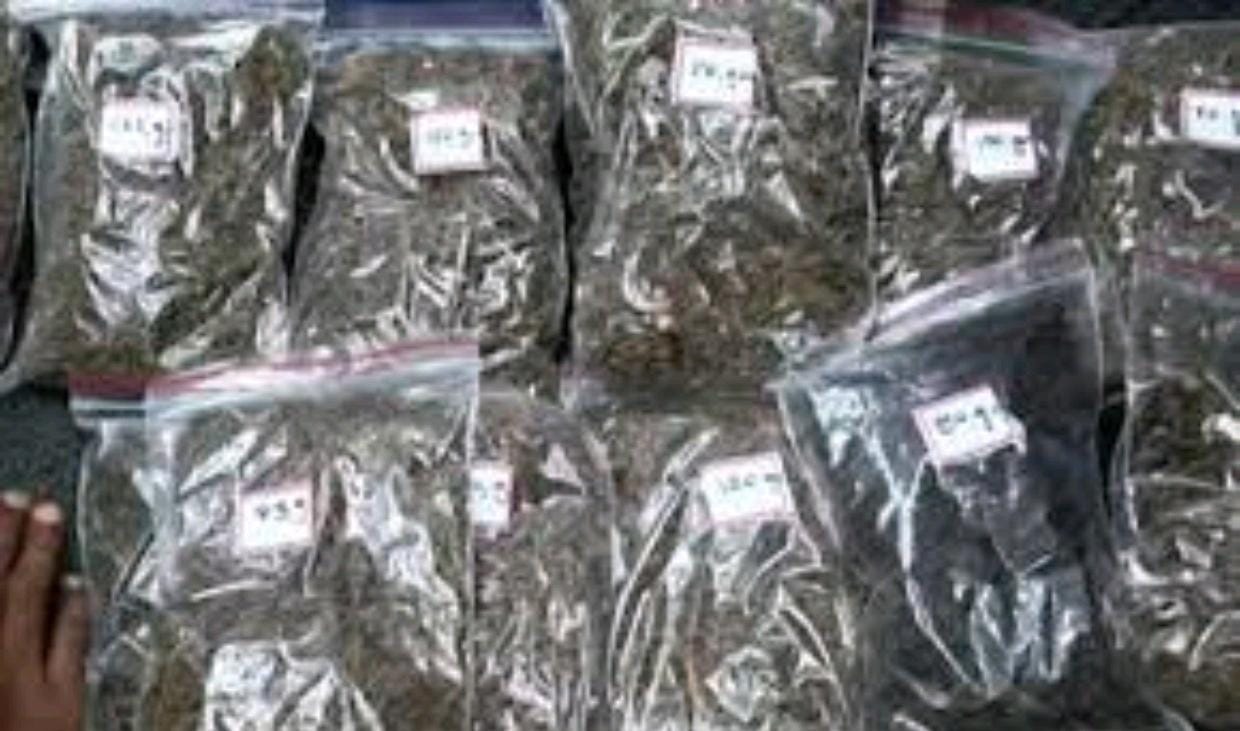 గంజాయి విక్రయిస్తున్న దంపతుల అరెస్టు