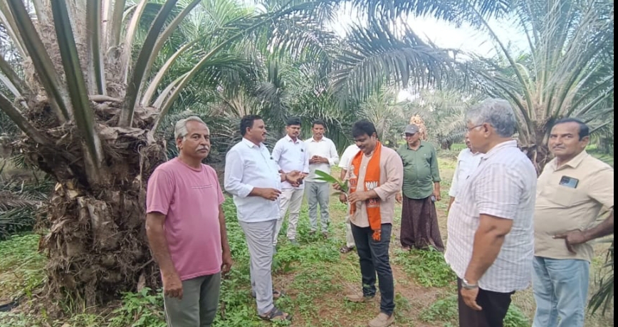 పామాయిల్ తోటలు పరిశీలించిన భారతీయ జనతా పార్టీ జిల్లా అధ్యక్షులు ప్రభాకర్ రెడ్డి