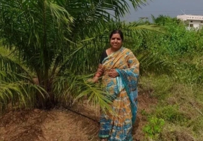 ఎల్ నినో నీడలో మనిషి : మంజుల పత్తిపాటి