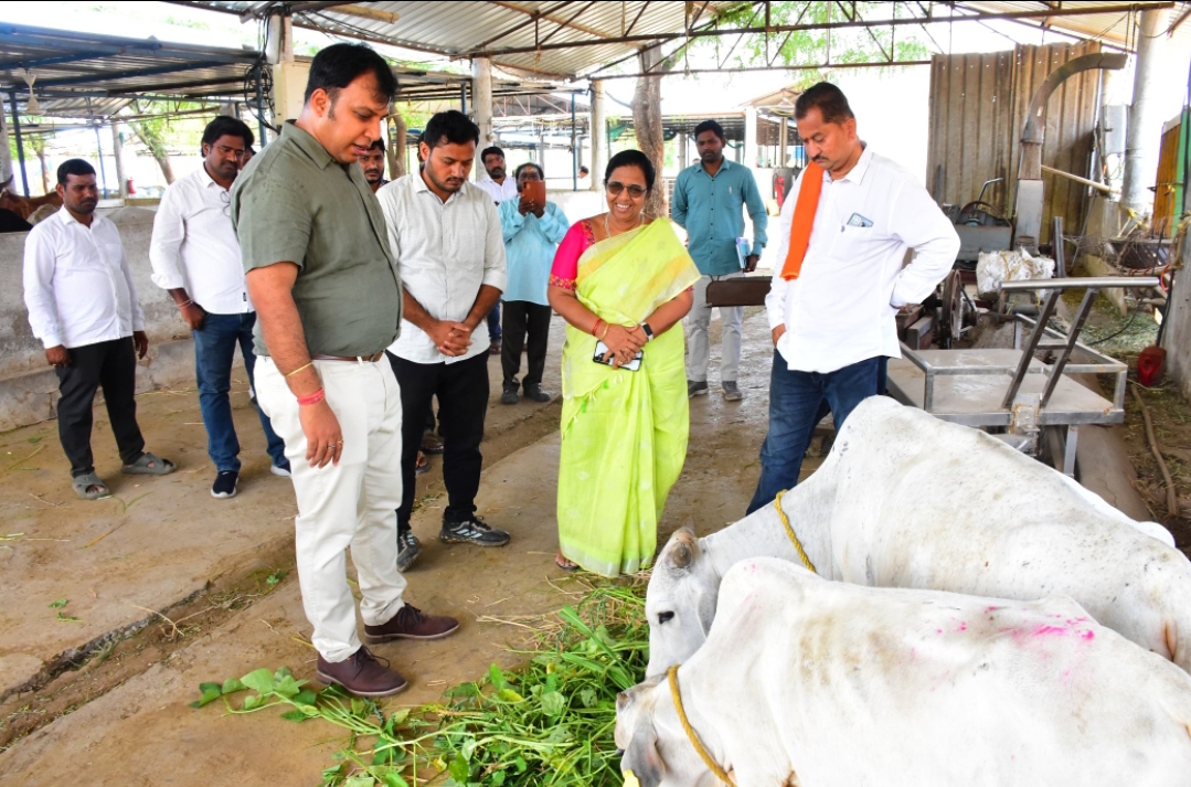 గోశాలను ఆకస్మికంగా తనిఖీ చేసిన కలెక్టర్