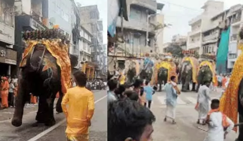 జగన్నాథ రథ యాత్రలో అపశృతి.. భక్తులపైకి దూసుకెళ్లిన ఏనుగు!