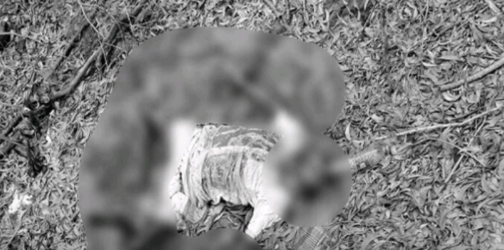 తిరుమల నడక మార్గంలో మృతదేహం లభ్యం