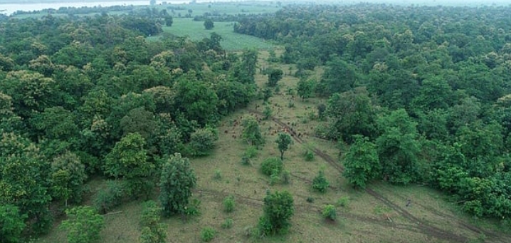 రాజమండ్రిలో కొత్త జూ పార్క్ రాబోతోంది