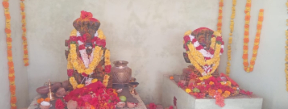 జడల చింత గ్రామంలో శ్రీ అంకమ్మ శ్రీ మహాలక్ష్మి ప్రతిష్ట  మహా అన్నదాన కార్యక్రమం నిర్వహించిన ఆలయ ధర్మకర్త కలసాని దుర్గ ప్రవీణ్ 