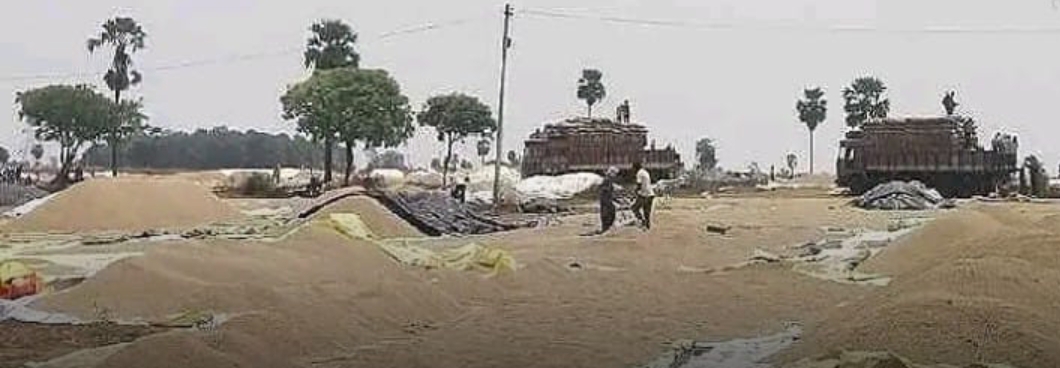 ధాన్యం కొనుగోళ్లలో రాష్ట్రంలోనే జిల్లాకు మొదటి స్థానం