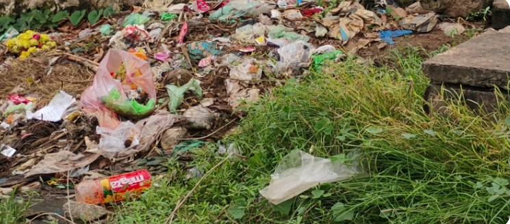 దమ్మపేటలో పారిశుద్ధ్యం లోపించినది