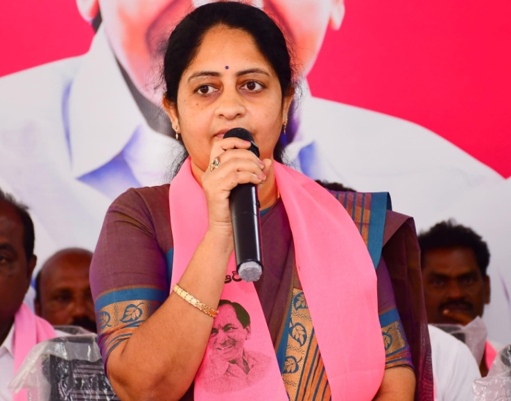 గ్రామ సభలతోనే ఐదేళ్ల కాలం వెళ్లదీస్తారా..?