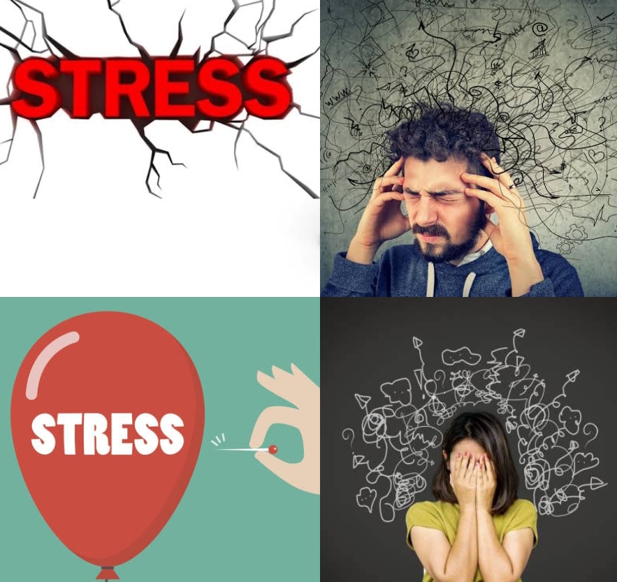 "మానసిక ఆందోళన...ఇక భయం లేదు" (Anxiety)  (మీ కోసమే మేమున్నాం)