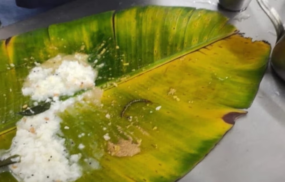 తిరుమల అన్నప్రసాదంలో జెర్రి ? 